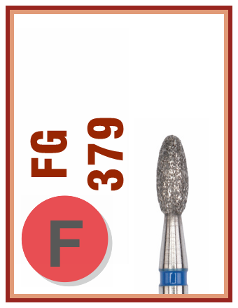 FG F 379