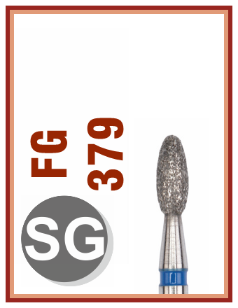 FG S SG 379