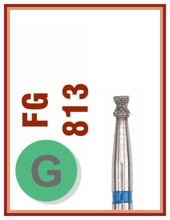 FG G 813
