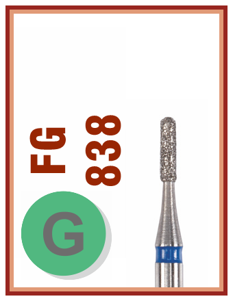 FG G 838
