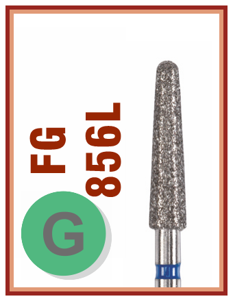 FG G 856L