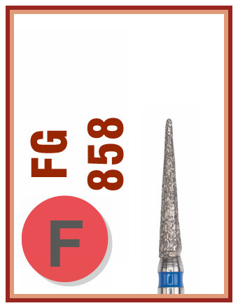 FG F 858
