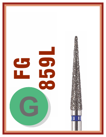 FG G 859L