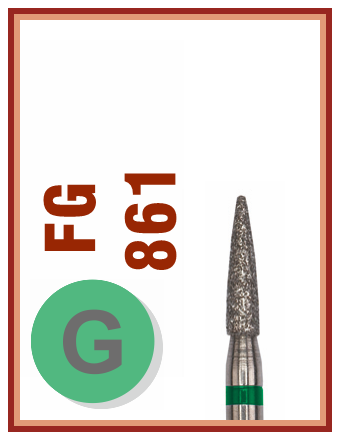 FG G 861