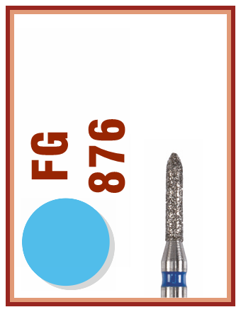 FG 876