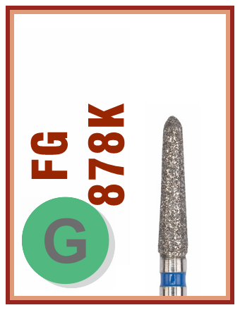 FG G 878K